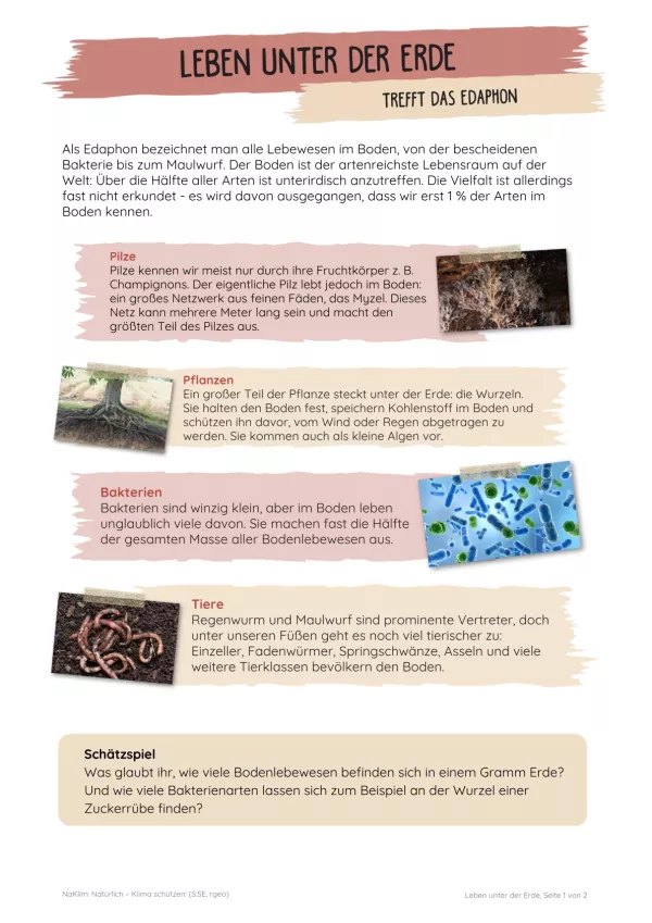 Unterrichtsbaustein: Leben unter der Erde | Trefft das Edaphon