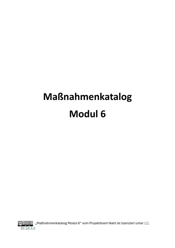 Flyer: Maßnahmenkatalog Modul 6
