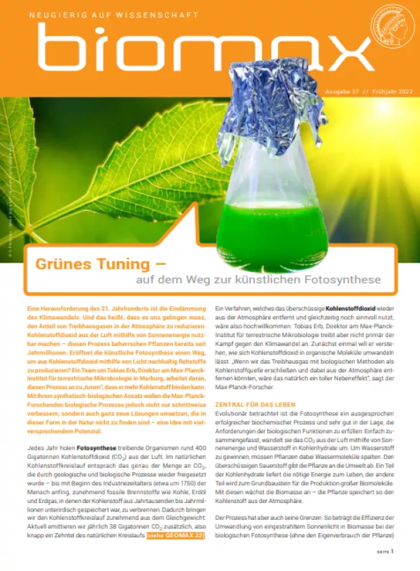 Broschuere: Biomax 37: Grünes Tuning