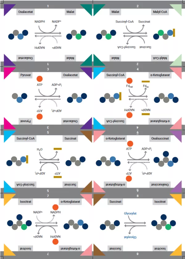 Unterrichtsbaustein: Kärtchenset „Kugel-Darstellung“
