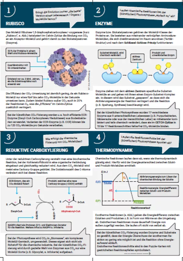 Unterrichtsbaustein: Infokarten Kärtchenset
