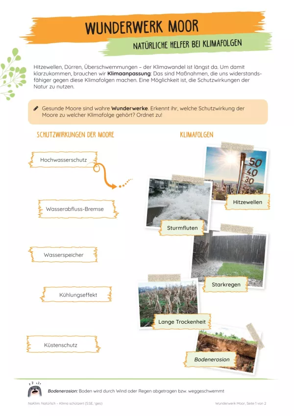 Unterrichtsbaustein: Wunderwerk Moor | Natürliche Helfer bei Klimafolgen
