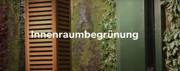 Webseite: Innenraumbegrünung