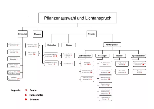 Broschuere: Pflanzen zur bodengebundenen Begrünung: nach Lichtansprüchen