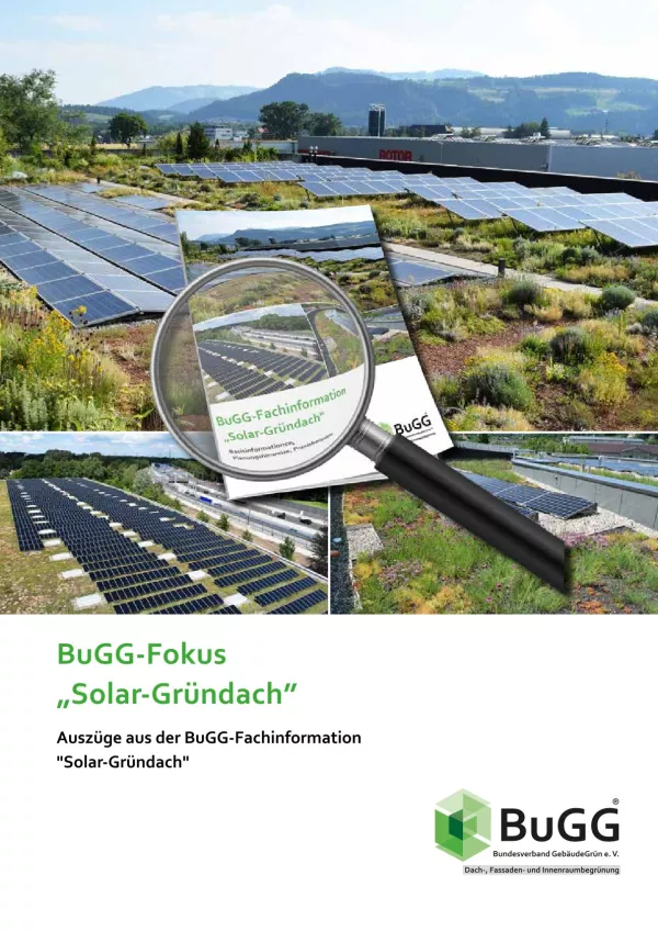 Broschuere: BuGG-Fokus: Solar-Gründach
