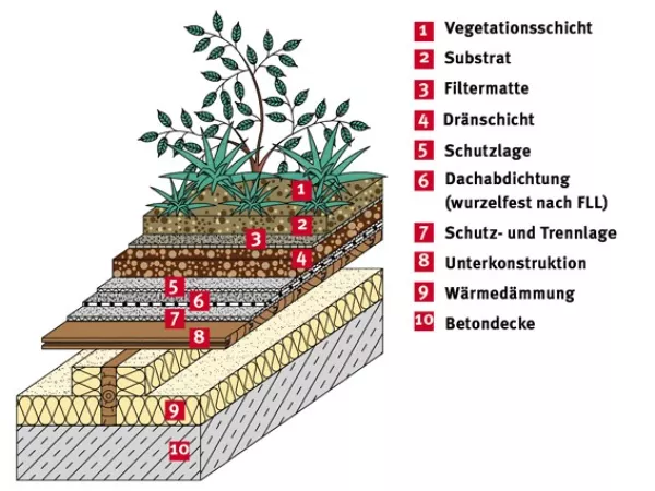 Webseite: Planungshinweise Dachbegrünung