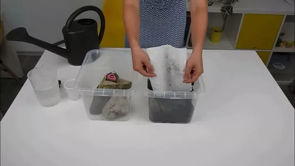 Entdeckendes: Wie Regen versickert | Experiment