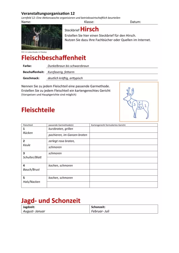 Unterrichtsbaustein: 12.1 Steckbrief Hirsch (Lösung)