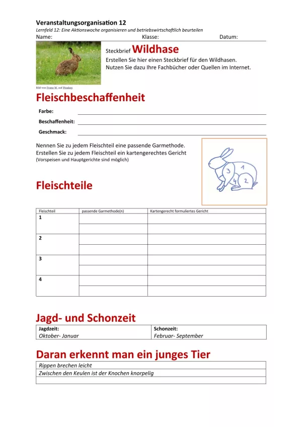 Unterrichtsbaustein: 12.1 Steckbrief Wildhase