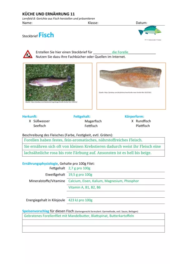 Unterrichtsbaustein: 8.1 Steckbrief Fisch (Lösung)