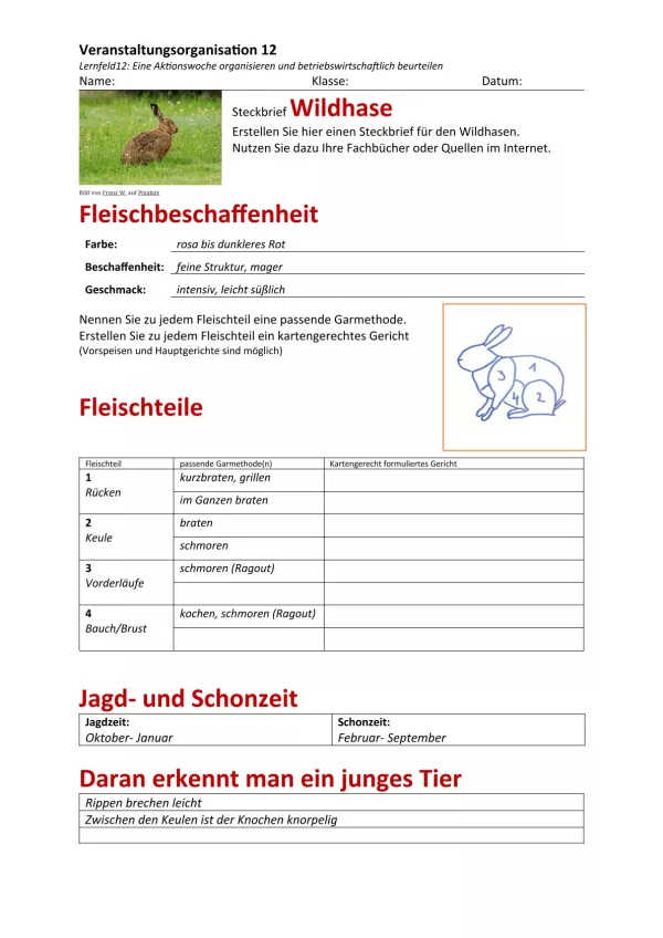 Unterrichtsbaustein: 12.1 Steckbrief Wildhase (Lösung)