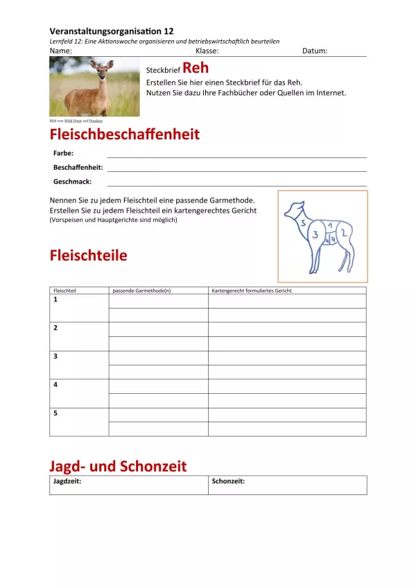 Unterrichtsbaustein: 12.1 Steckbrief Reh