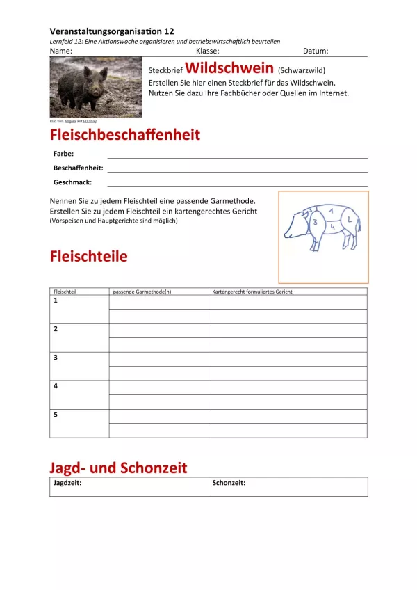 Unterrichtsbaustein: 12.1 Steckbrief Wildschwein