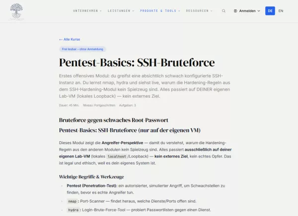 Webseite: Pentest-Basics: SSH-Bruteforce