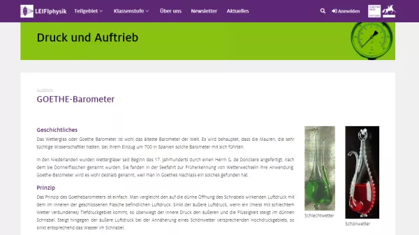 Unterrichtsbaustein: GOETHE-Barometer